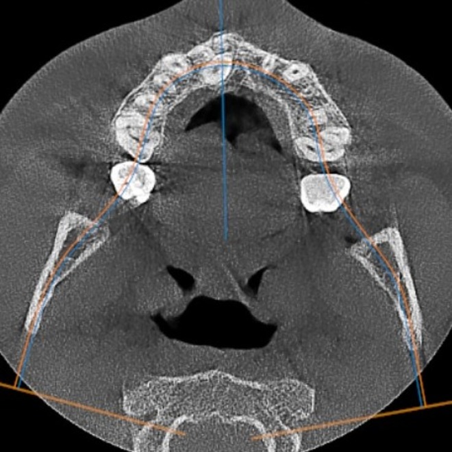 whatsapp image 2025 08 01 at 18.00.06 (1)